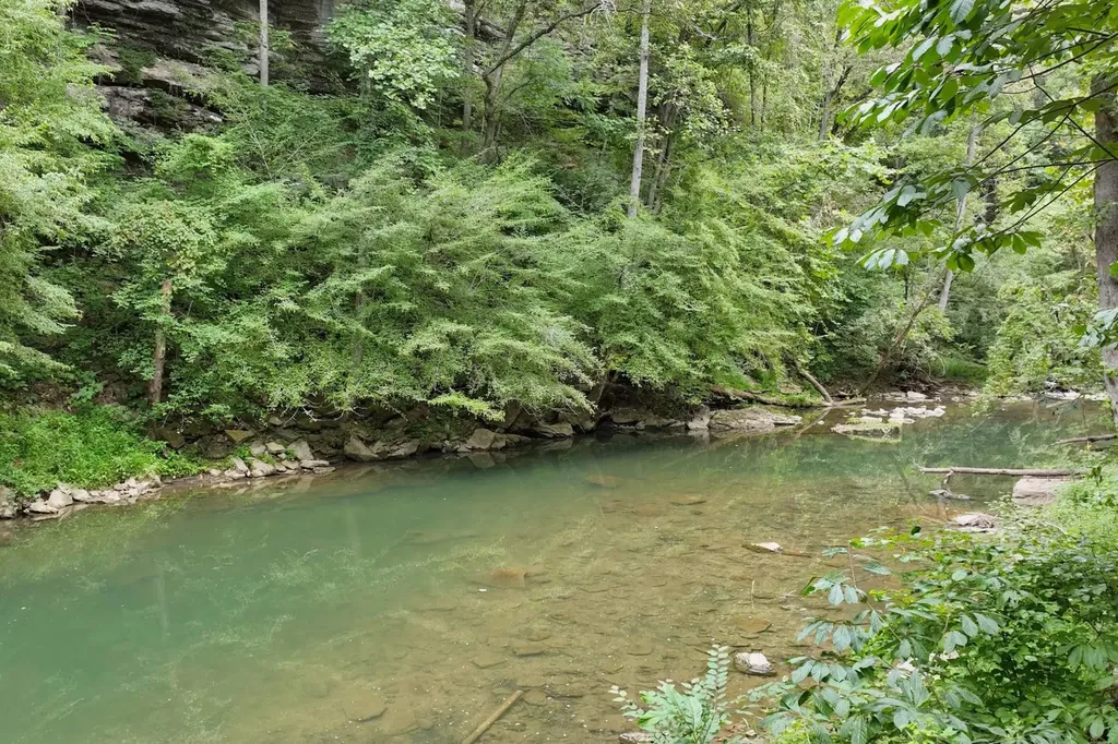 1045 Jones Mill Road Smithville TN 37166