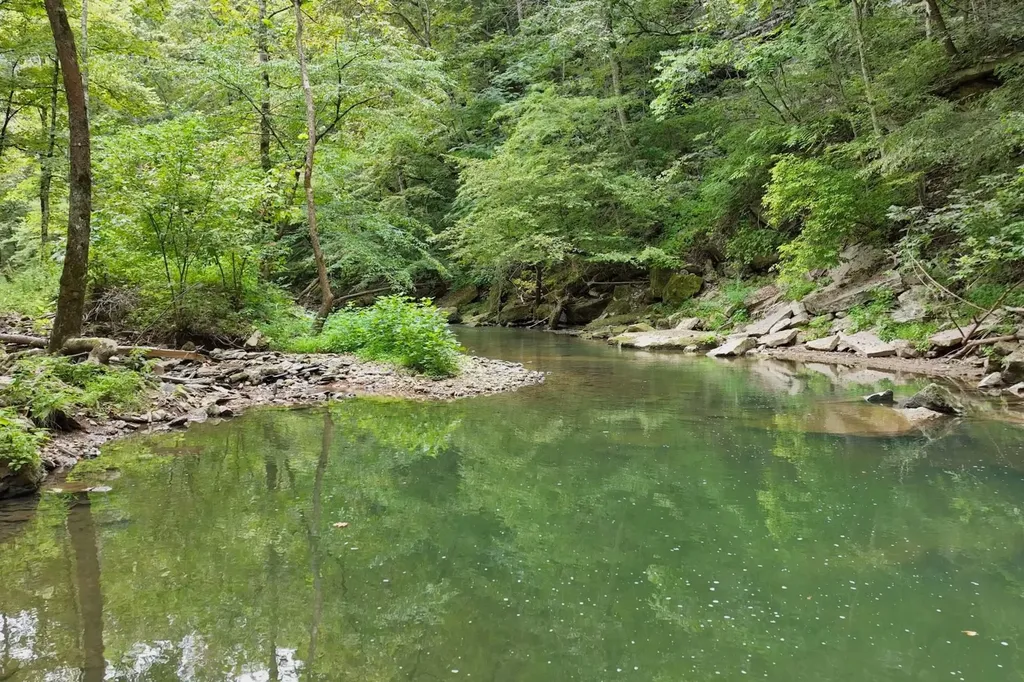 1045 Jones Mill Road Smithville TN 37166