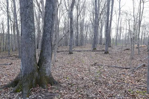 0 Bell Hollow Road Vanleer TN 37181
