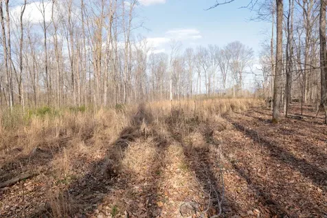 0 Bell Hollow Road Vanleer TN 37181