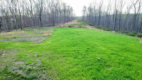 0 Bell Hollow Road Vanleer TN 37181
