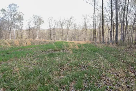 0 Bell Hollow Road Vanleer TN 37181