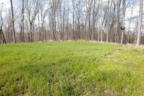 0 Bell Hollow Road Vanleer TN 37181