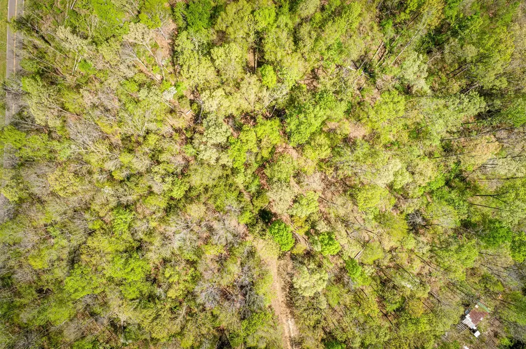 0 Creek Ridge Cove Parsons TN 38363