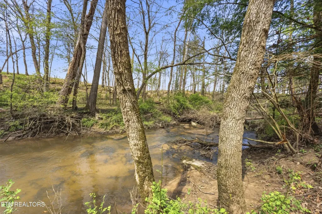 55 Rocky Lane Crossville TN 38571