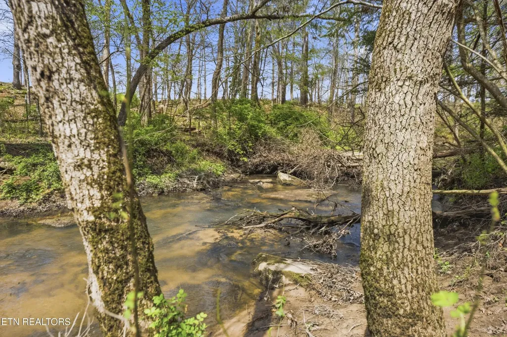 55 Rocky Lane Crossville TN 38571