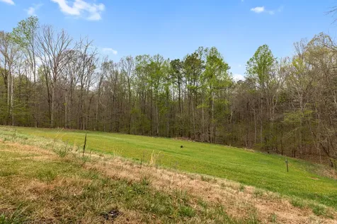180 Hill Road Vanleer TN 37181