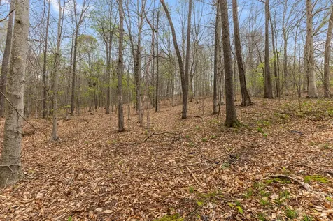 180 Hill Road Vanleer TN 37181