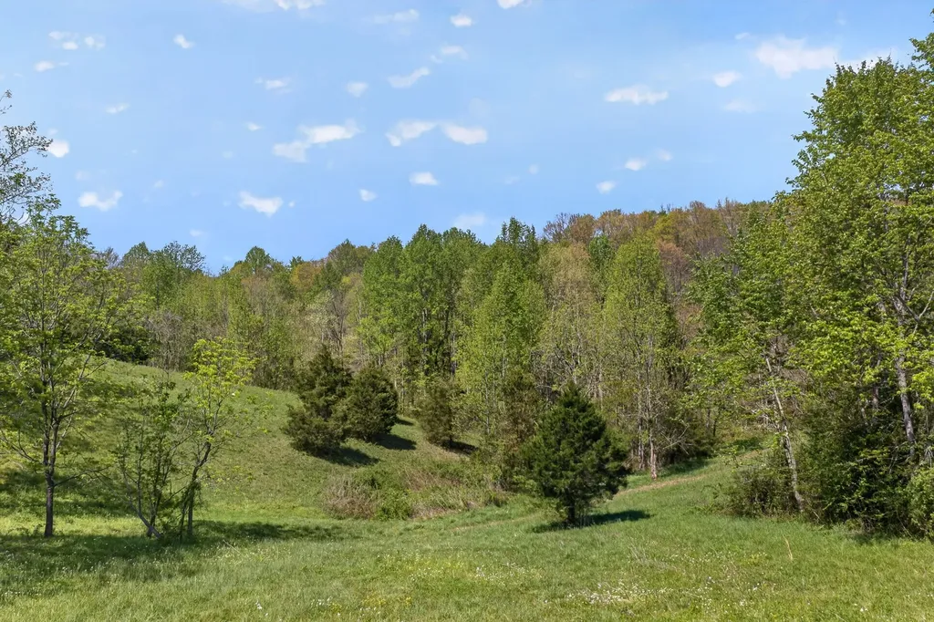 225 Richardson Lane Gainesboro TN 38562