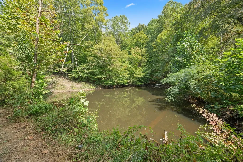 225 Richardson Lane Gainesboro TN 38562