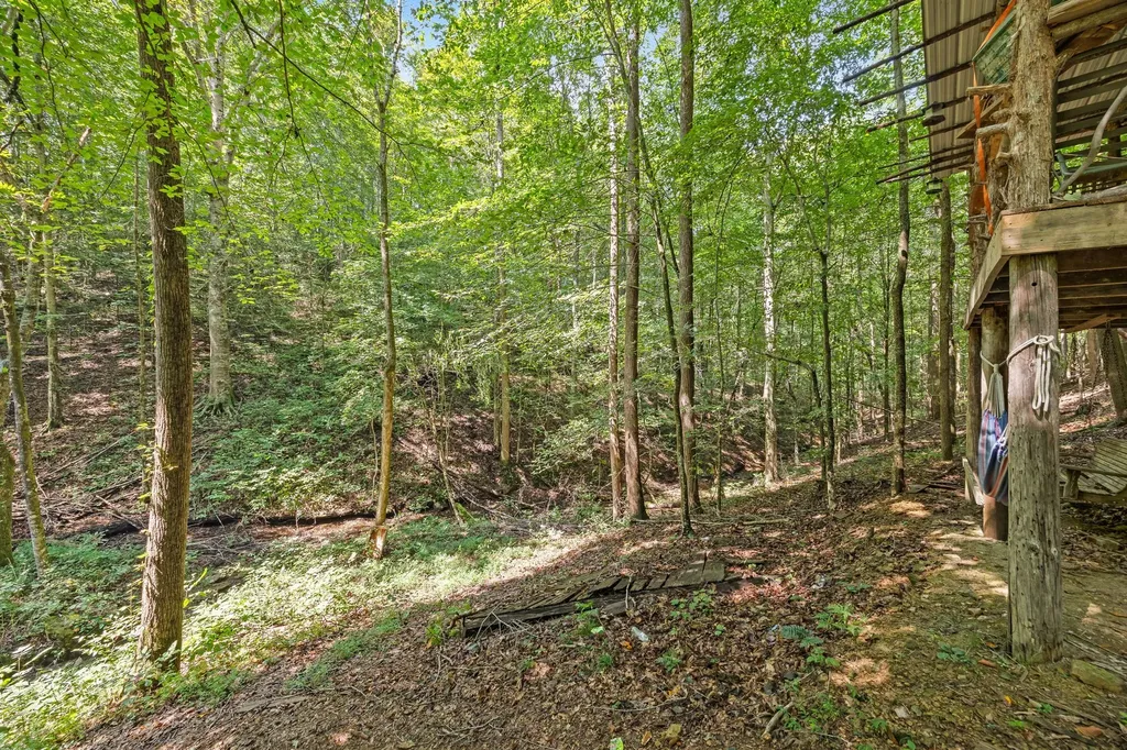 225 Richardson Lane Gainesboro TN 38562