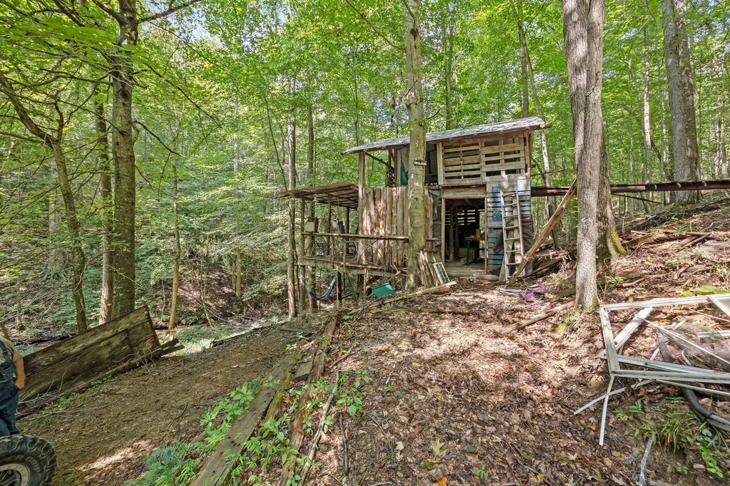 225 Richardson Lane Gainesboro TN 38562