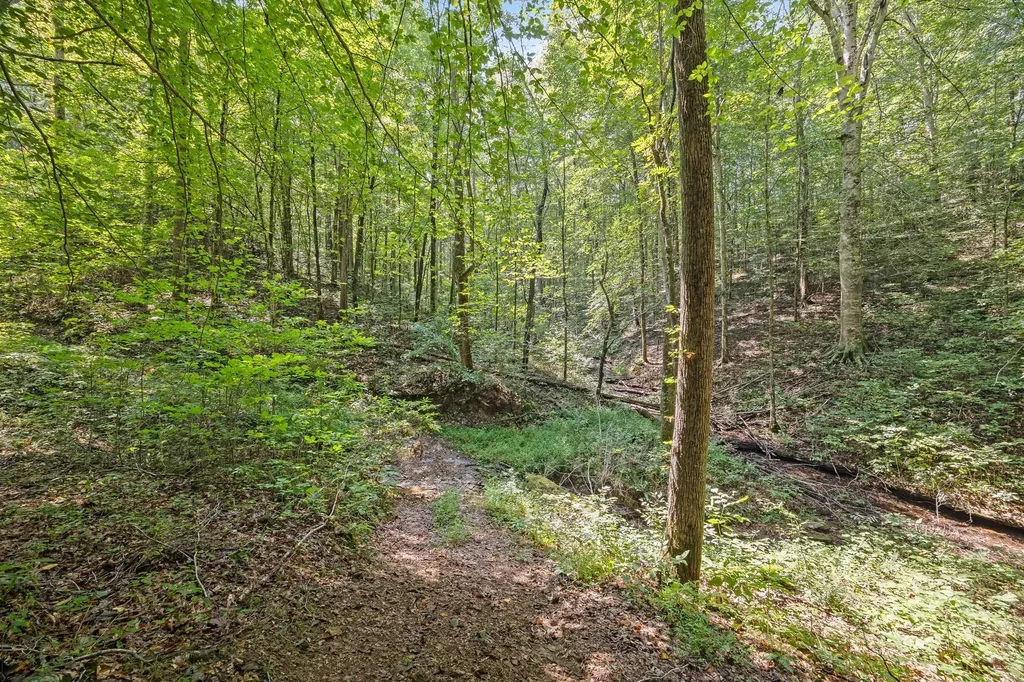225 Richardson Lane Gainesboro TN 38562
