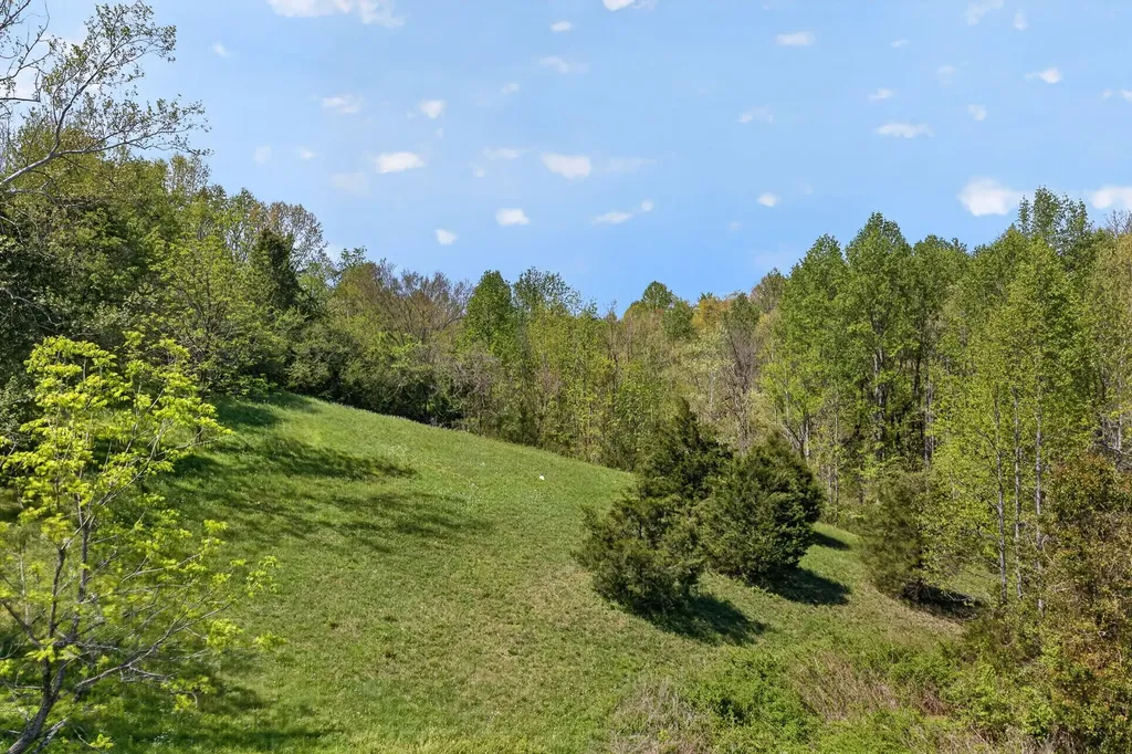225 Richardson Lane Gainesboro TN 38562
