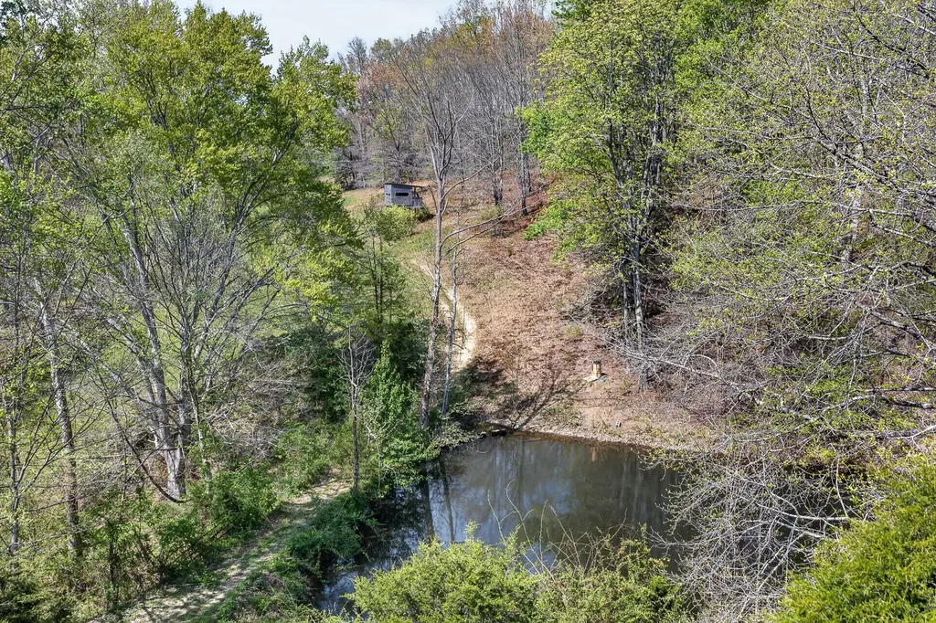 225 Richardson Lane Gainesboro TN 38562