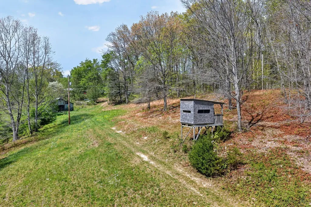 225 Richardson Lane Gainesboro TN 38562
