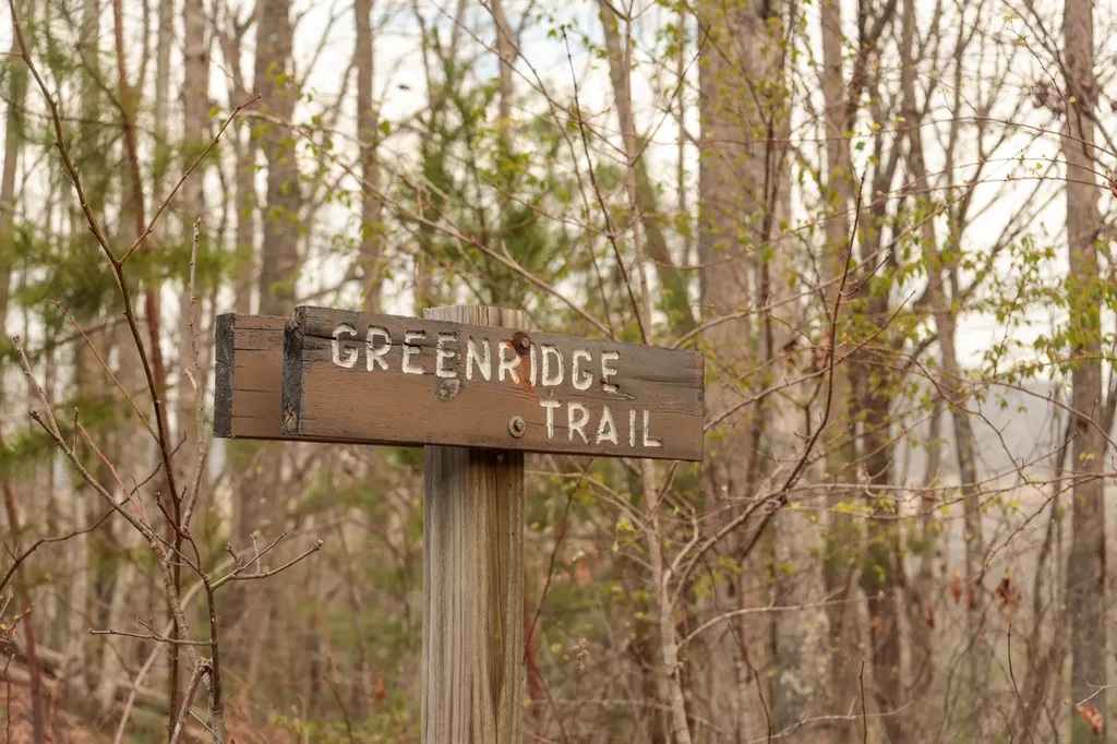 0 Green Ridge Trail Oakdale TN 37829