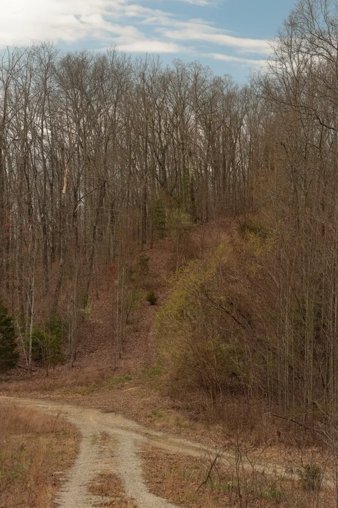 0 Green Ridge Trail Oakdale TN 37829