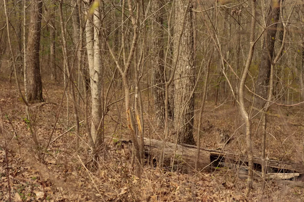 0 Green Ridge Trail Oakdale TN 37829