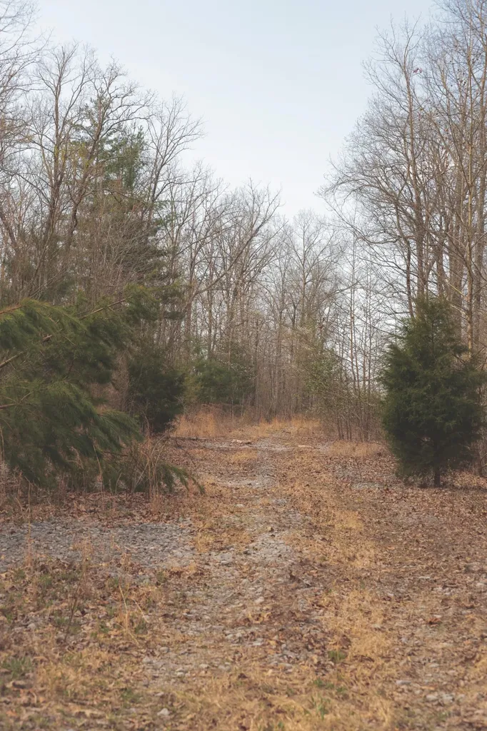 0 Green Ridge Trail Oakdale TN 37829