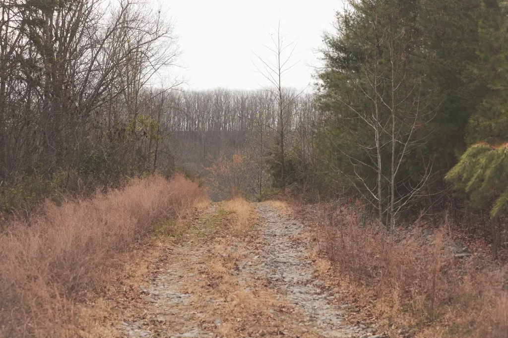 0 Green Ridge Trail Oakdale TN 37829