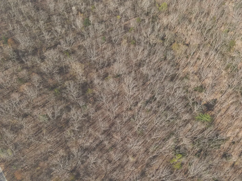 0 Green Ridge Trail Oakdale TN 37829