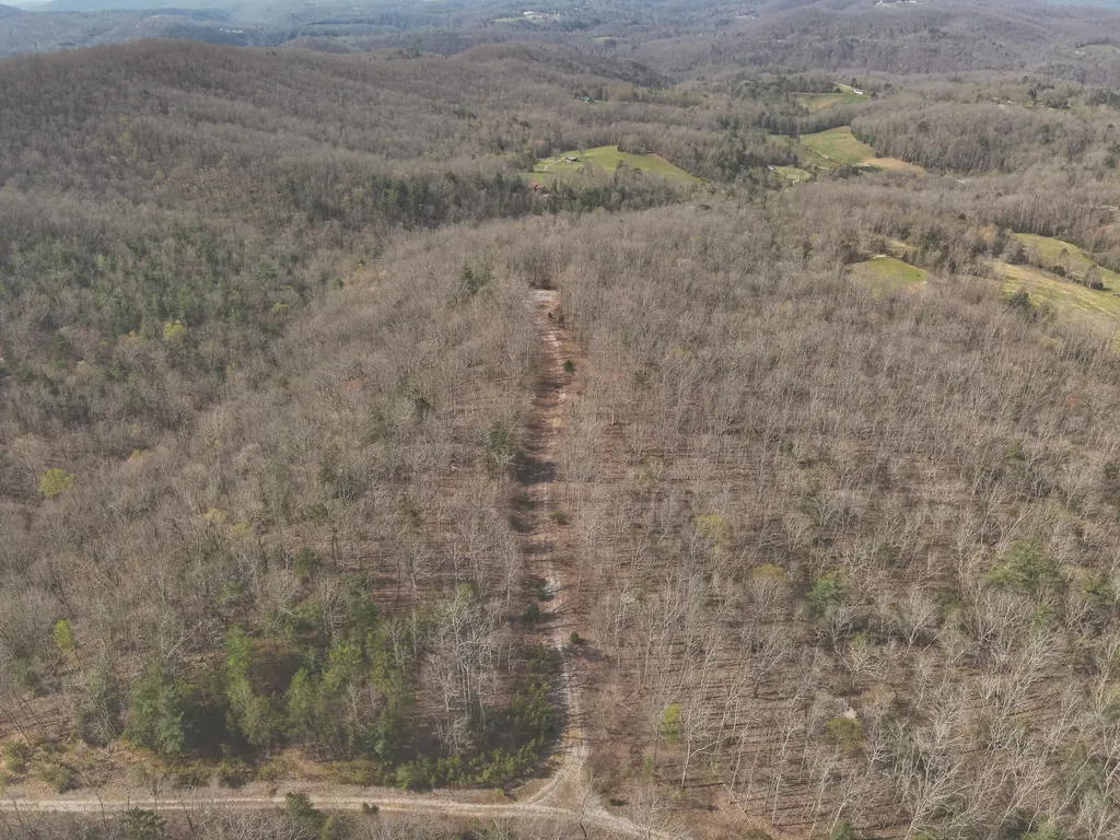 0 Green Ridge Trail Oakdale TN 37829