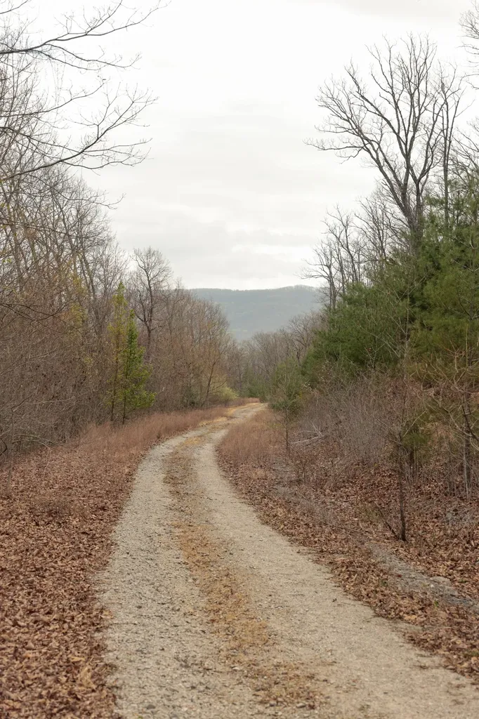 0 Green Ridge Trail Oakdale TN 37829