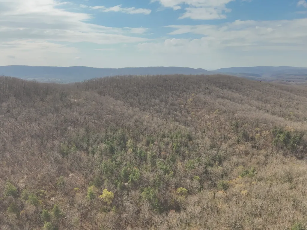 0 Green Ridge Trail Oakdale TN 37829