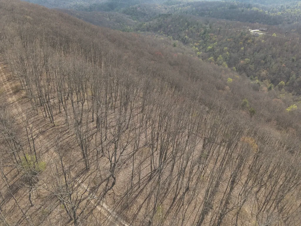 0 Green Ridge Trail Oakdale TN 37829