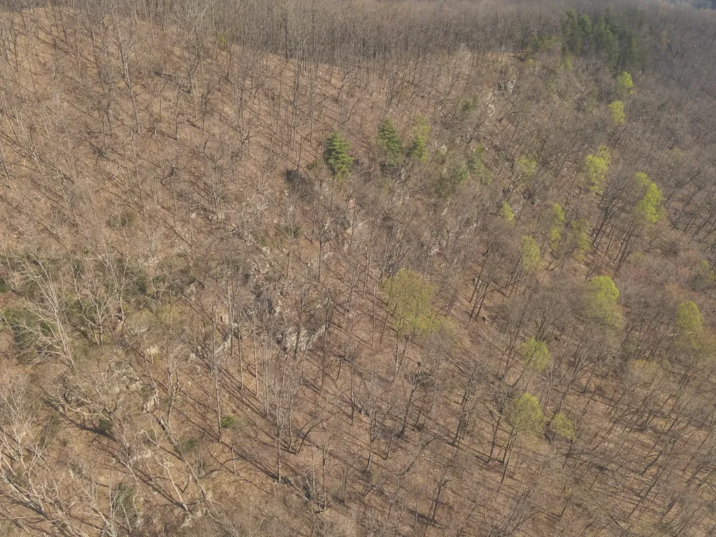 0 Green Ridge Trail Oakdale TN 37829