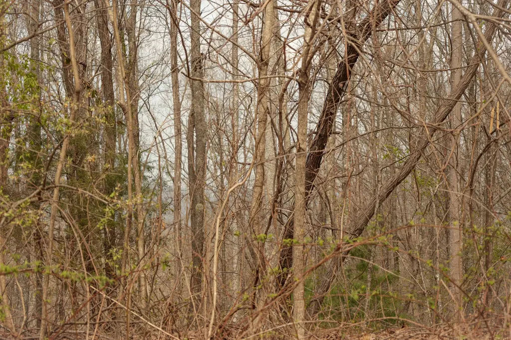 0 Green Ridge Trail Oakdale TN 37829