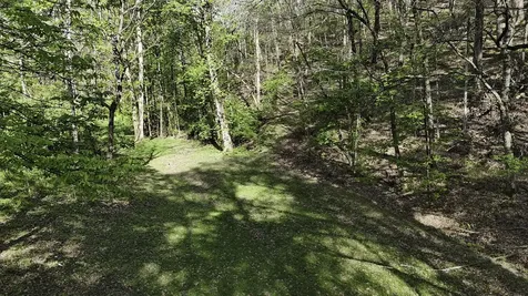 1650 Cash Canyon Road Chattanooga TN 37419