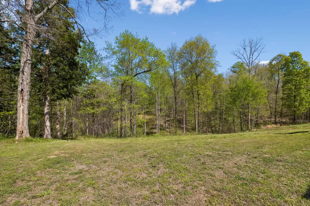 3084 Bowker Road Charlotte TN 37036