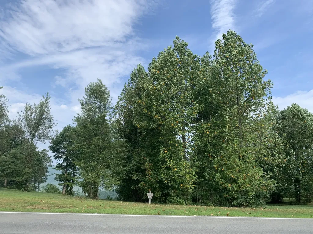755 Sunset Circle Jasper TN 37347