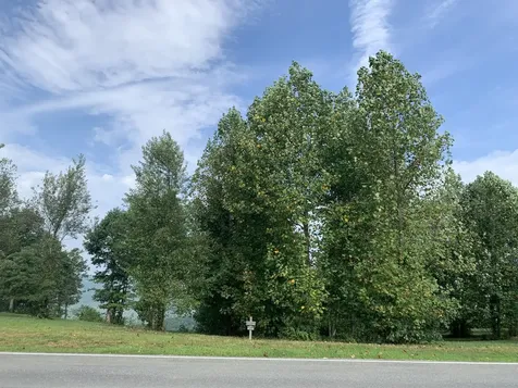 755 Sunset Circle Jasper TN 37347