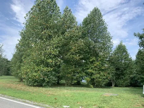 755 Sunset Circle Jasper TN 37347