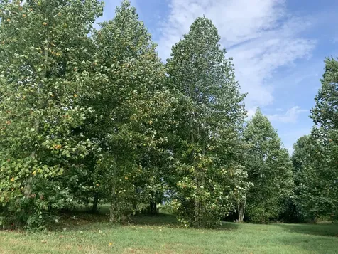 755 Sunset Circle Jasper TN 37347