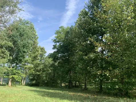 755 Sunset Circle Jasper TN 37347