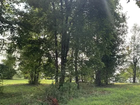 755 Sunset Circle Jasper TN 37347