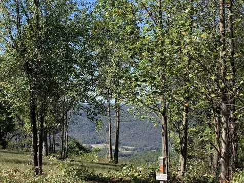 755 Sunset Circle Jasper TN 37347