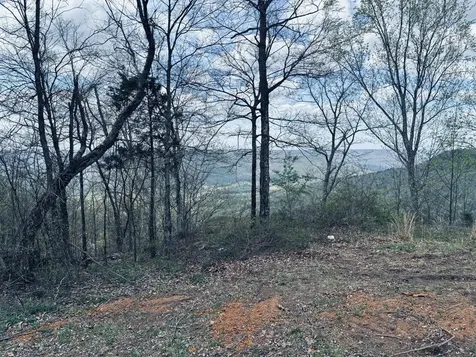 755 Sunset Circle Jasper TN 37347