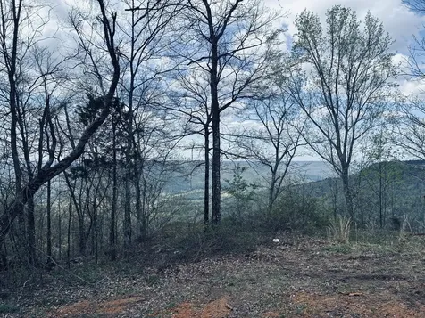 755 Sunset Circle Jasper TN 37347