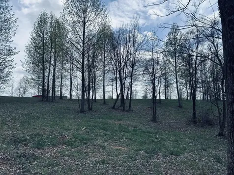 755 Sunset Circle Jasper TN 37347