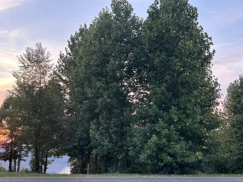 755 Sunset Circle Jasper TN 37347