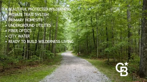 0 Woodfern Lane Coalmont TN 37313
