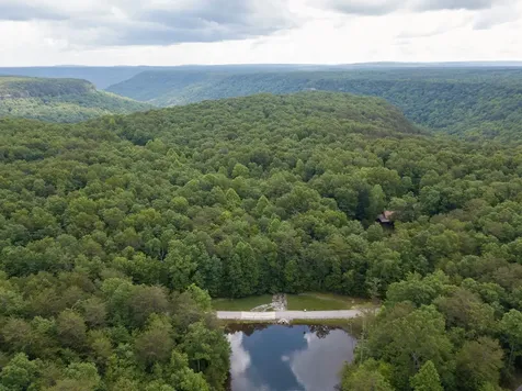 0 Woodfern Lane Coalmont TN 37313