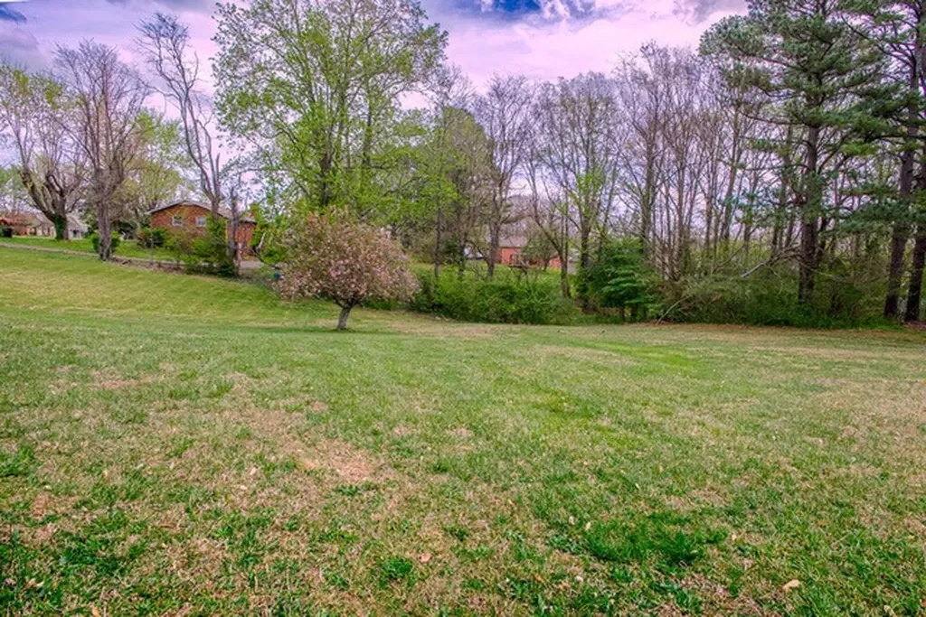 1213 Mayes Drive Greenbrier TN 37073