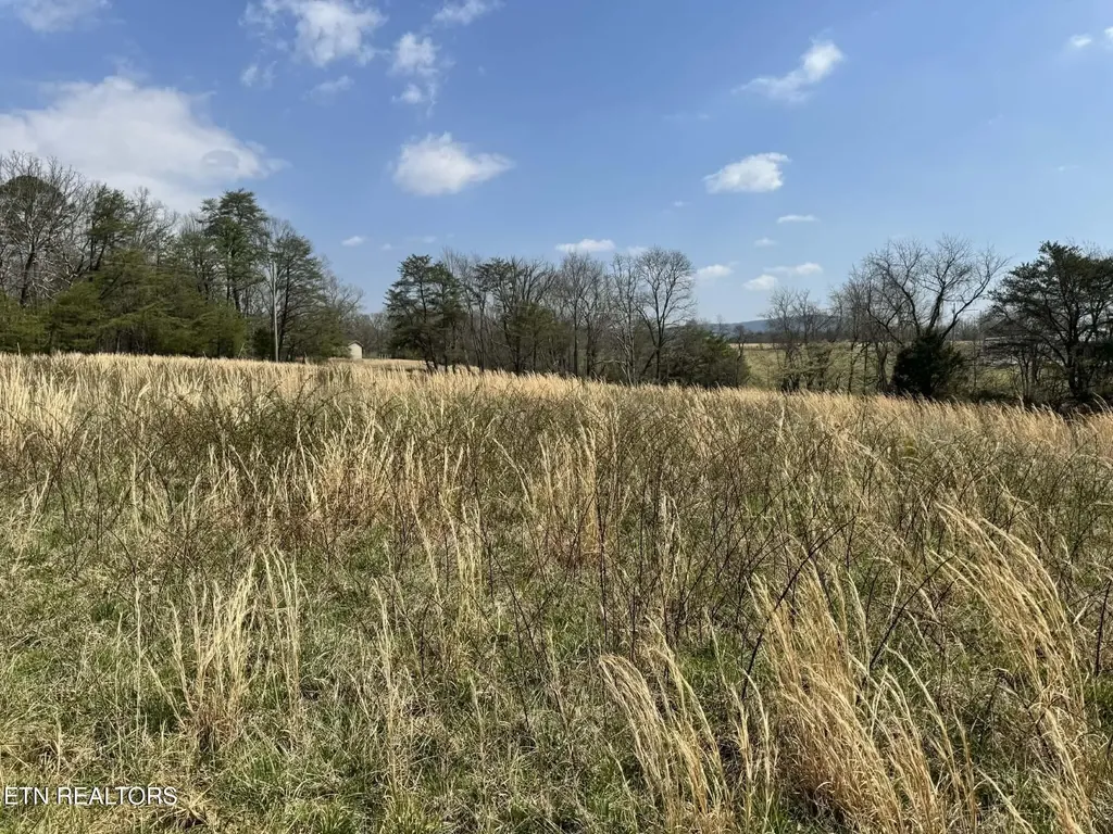 0 Knox Lane Crab Orchard TN 37723
