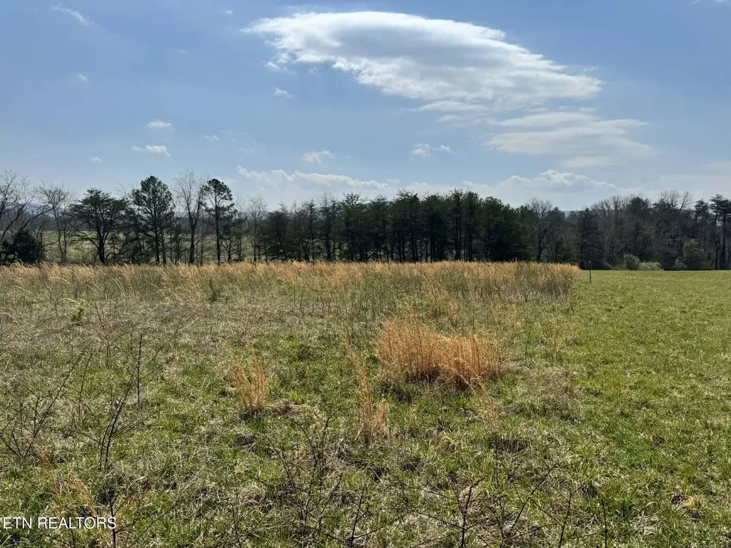 0 Knox Lane Crab Orchard TN 37723
